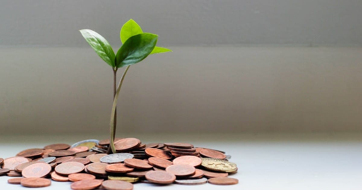 Cover image for How personal trainers can increase their income in 2025